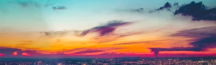 邓州茶虫网_邓州品茶